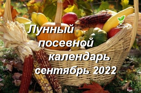 Місячний календар садівників та городників на вересень 2022 року